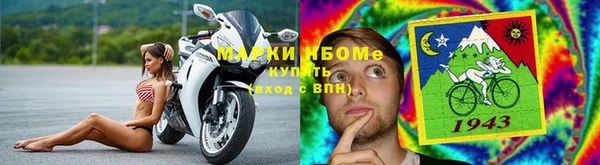 ГАЛЛЮЦИНОГЕННЫЕ ГРИБЫ Аркадак