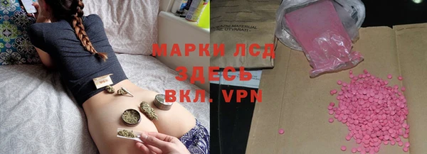 ГАЛЛЮЦИНОГЕННЫЕ ГРИБЫ Аркадак
