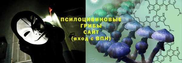 ГАЛЛЮЦИНОГЕННЫЕ ГРИБЫ Аркадак