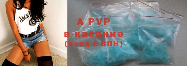 ГАЛЛЮЦИНОГЕННЫЕ ГРИБЫ Аркадак