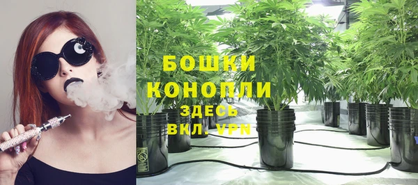 ГАЛЛЮЦИНОГЕННЫЕ ГРИБЫ Аркадак