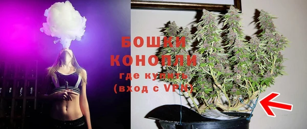 индика Сафоново