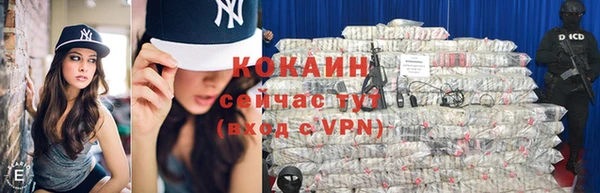 ГАЛЛЮЦИНОГЕННЫЕ ГРИБЫ Аркадак