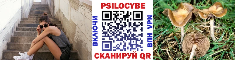 Галлюциногенные грибы Psilocybine cubensis  Сорочинск 